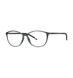 Sille Optique Opticien Le Mans Silhouette3