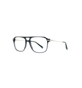 Sille Optique Opticien Le Mans Pomona